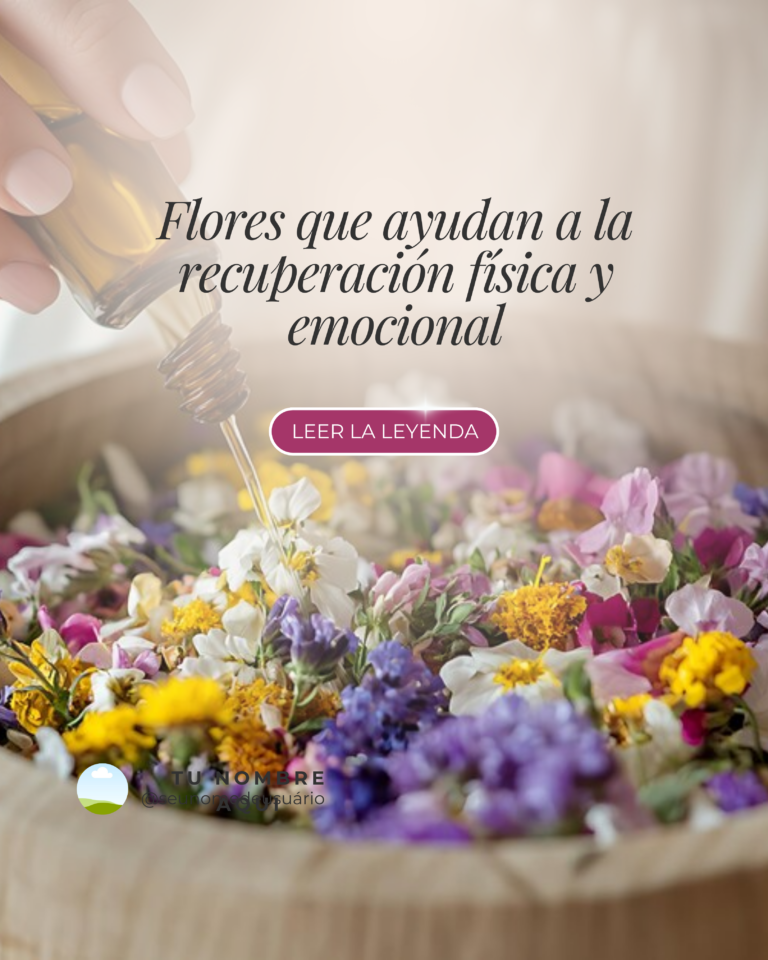 FLORAIS-FEED-ES-10.png