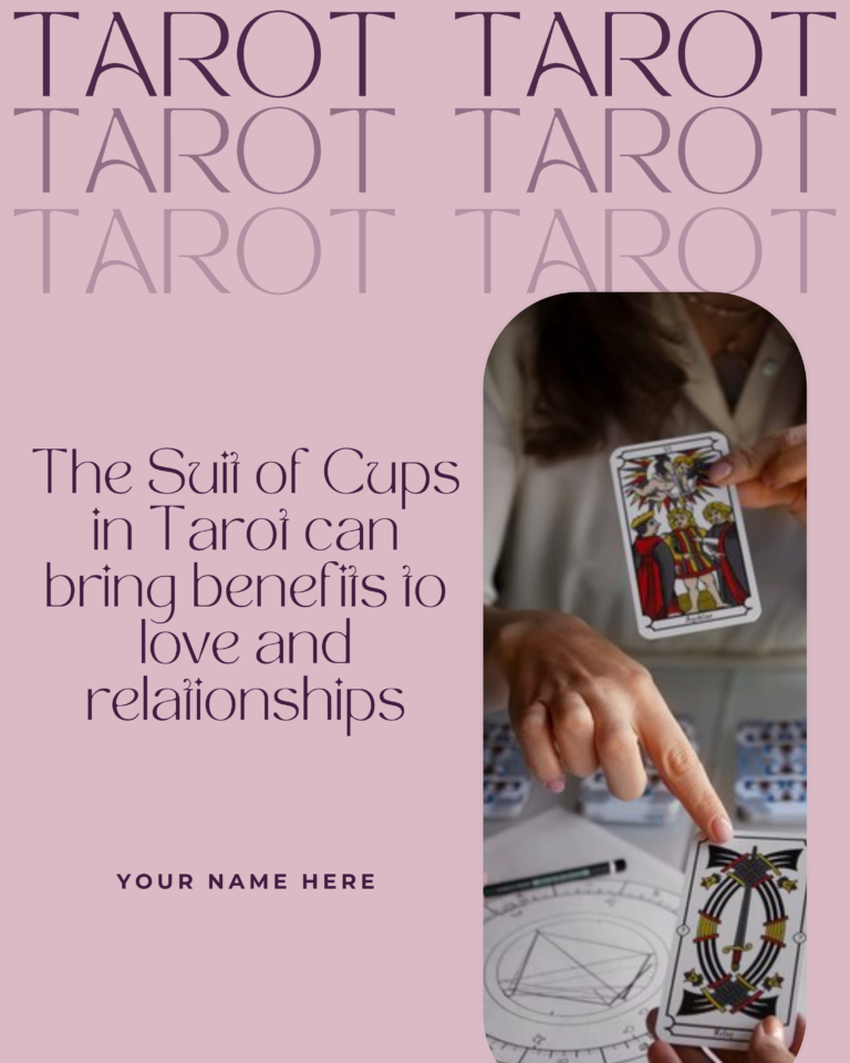 TAROT-FEED-ING-2.png